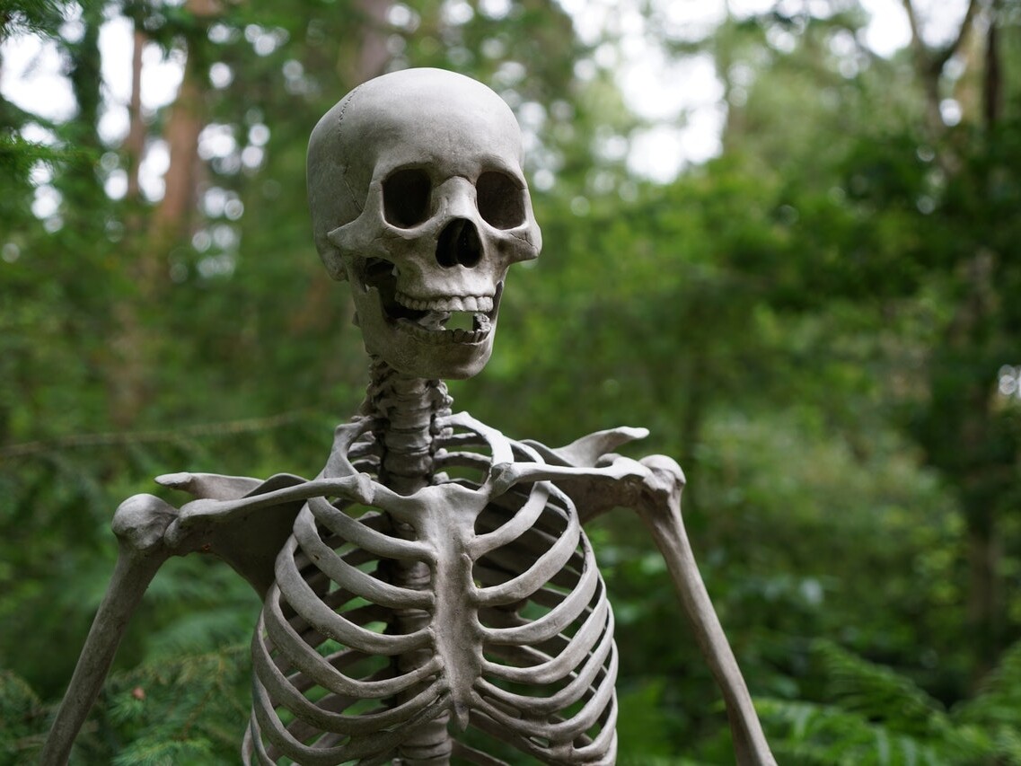 side hustle horror stories