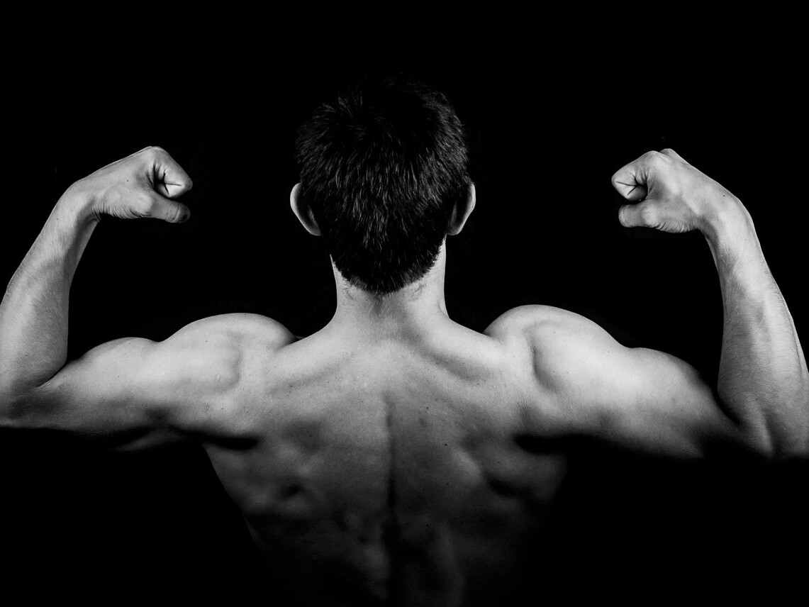 make money with muscle