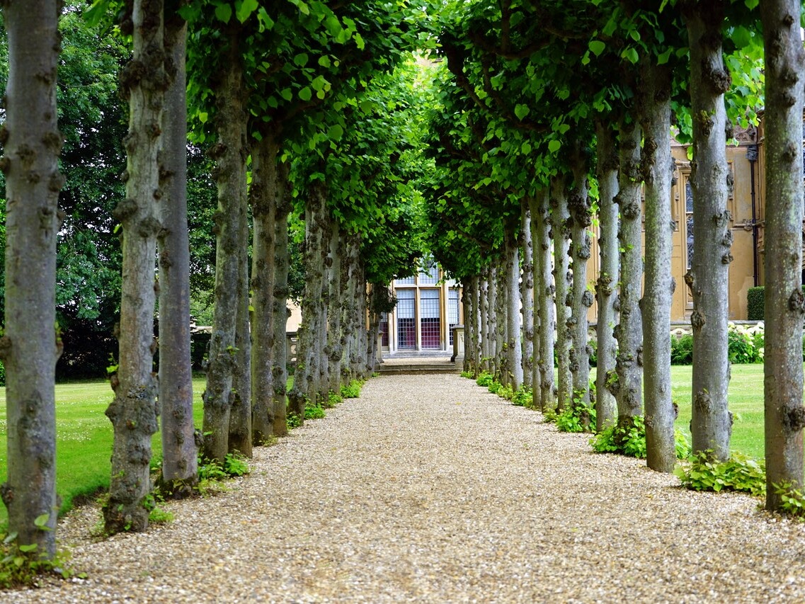 landscape design