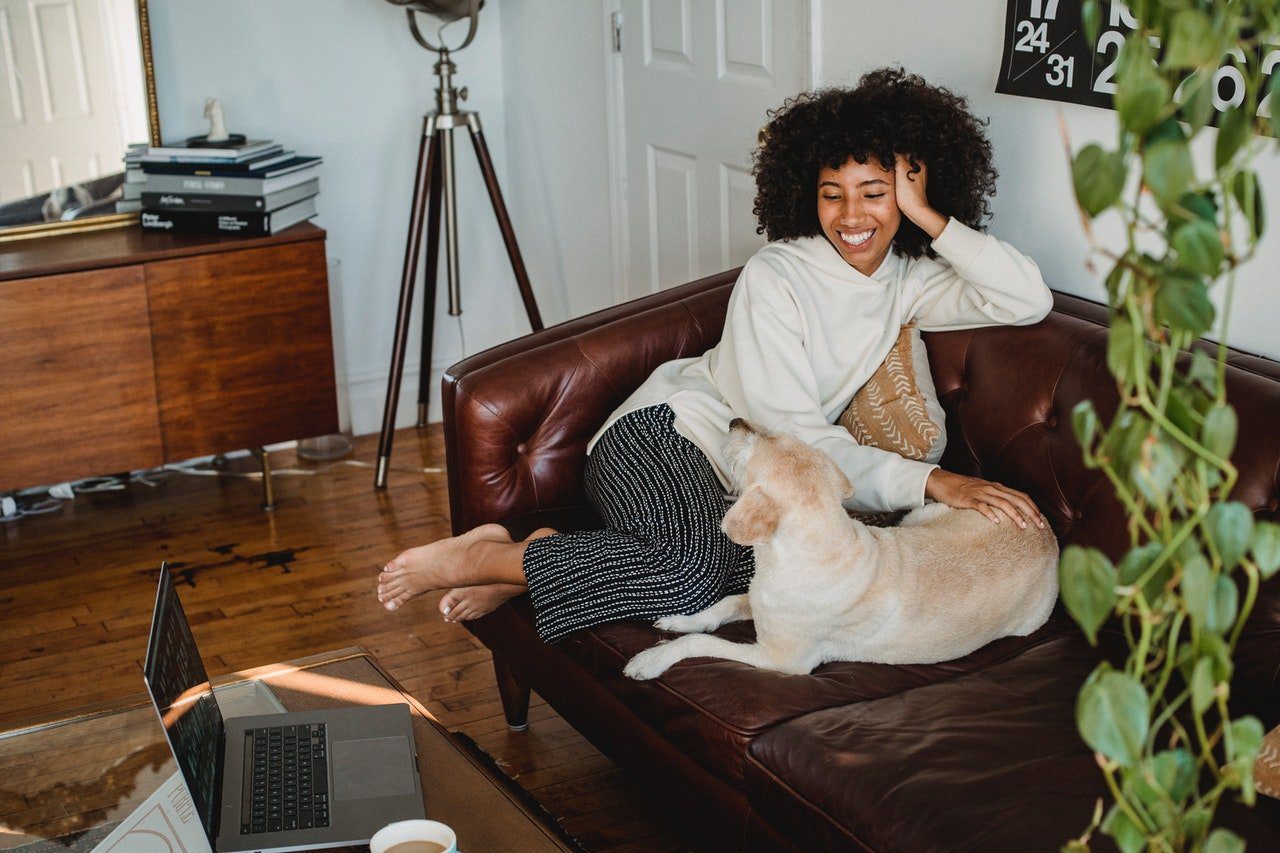 Everything You Need To Know About Nomador Home Pet Sitting Everything You Need To Know About Nomador Home Pet Sitting