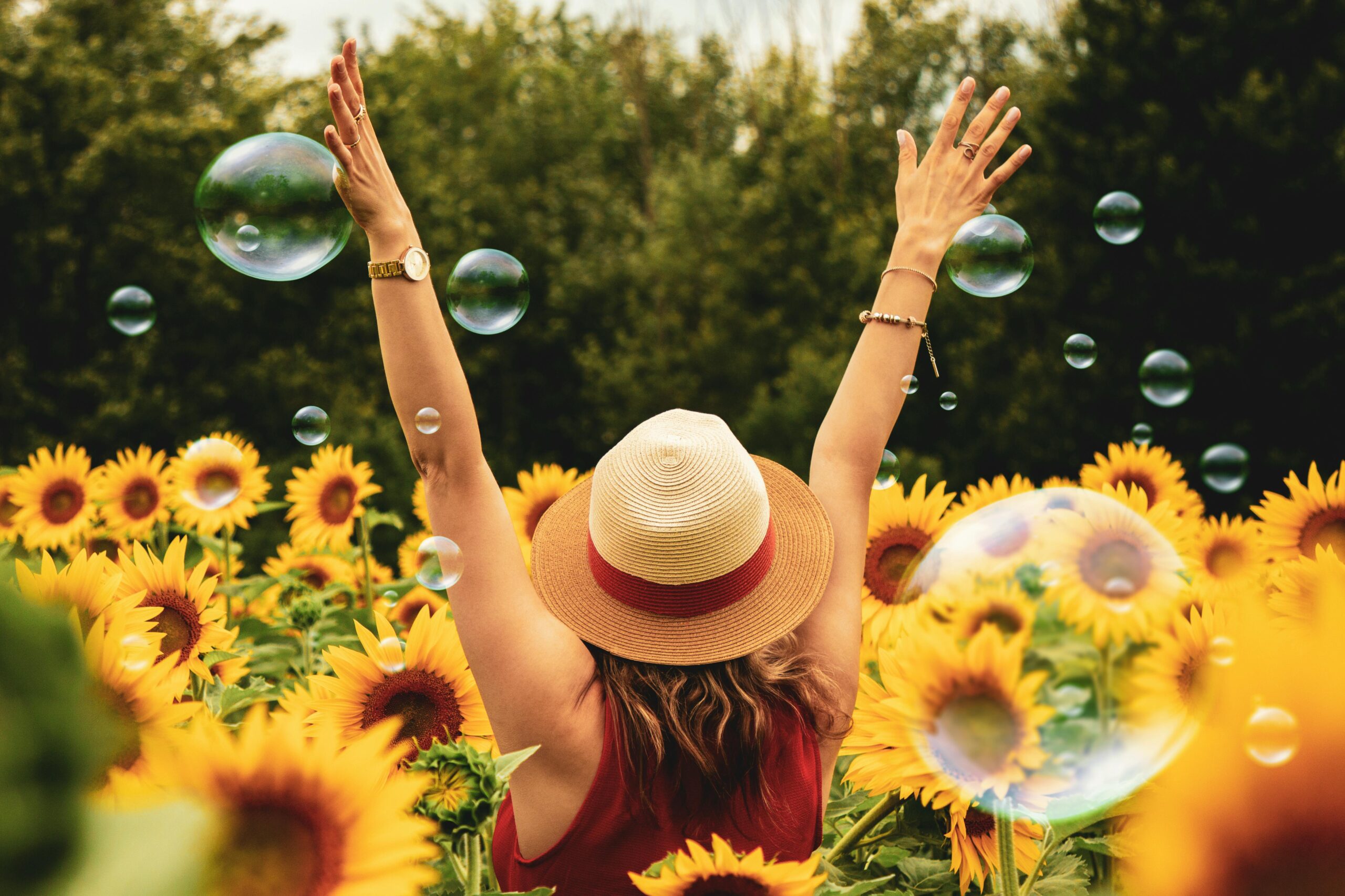 Make Money While Soaking up the Sun
